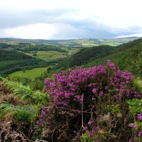 The rolling Devon hills might be garden enough, but there’s a treat in store, because the grounds of Taw Valley House wrap themselves around the whitewashed walls like dazzling jewels around the porcelain neck of a princess.