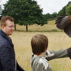 Falconry